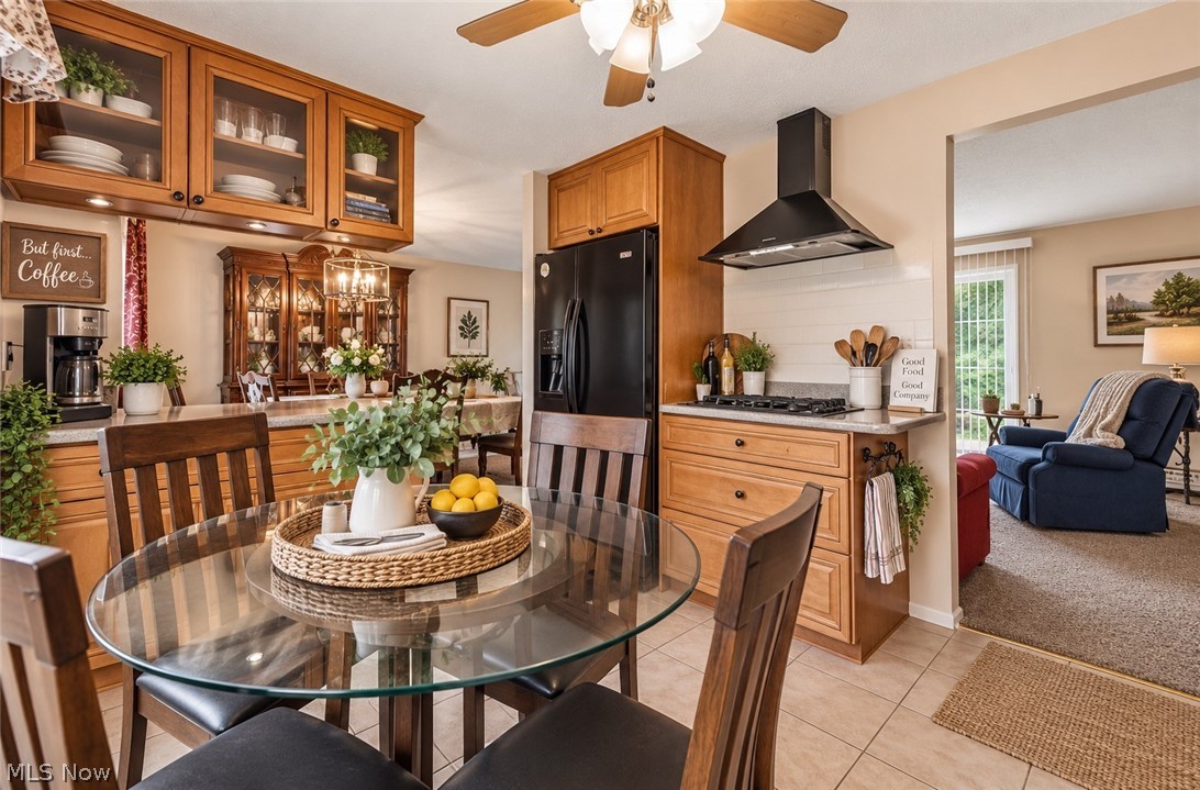 8071 Meadowdale Drive Mentor OH 44060