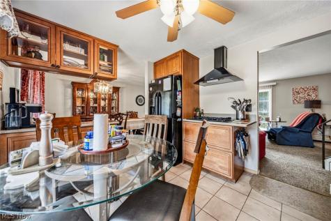 8071 Meadowdale Drive Mentor OH 44060