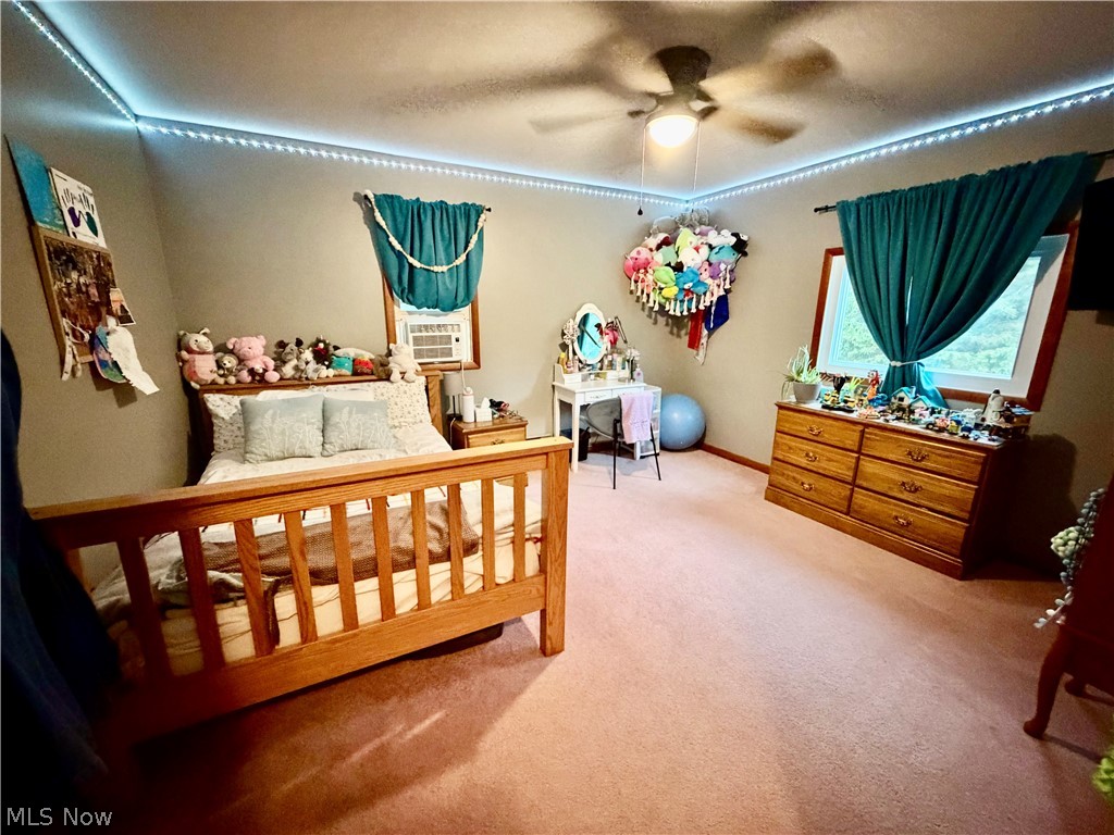 6852 Graham Road Pierpont OH 44082