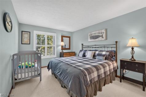 17167 Misty Lake Drive Strongsville OH 44136