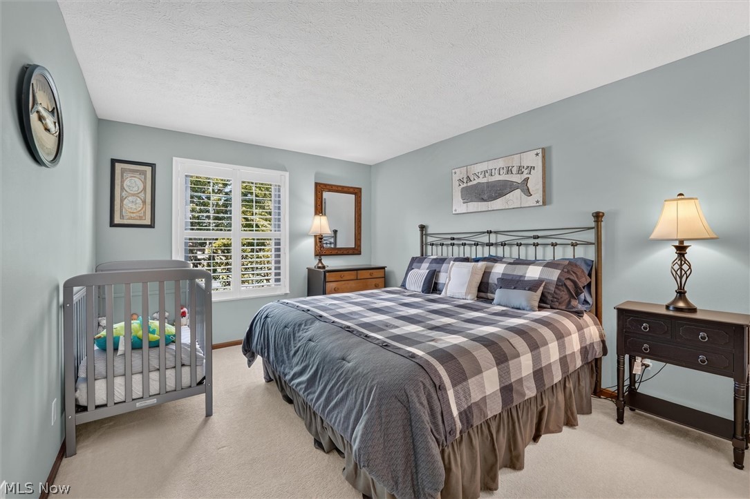 17167 Misty Lake Drive Strongsville OH 44136