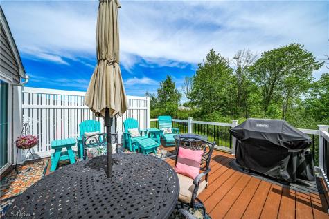 1519 Duncan Way Streetsboro OH 44241
