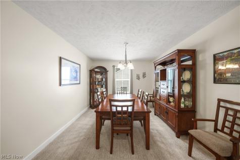 1519 Duncan Way Streetsboro OH 44241