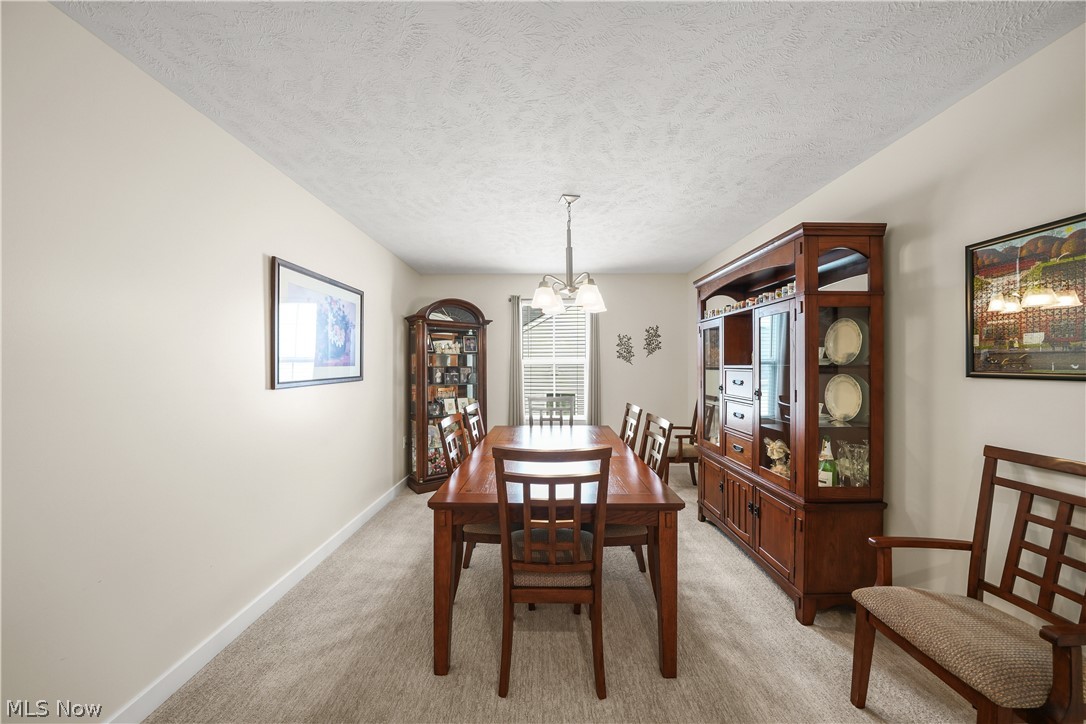 1519 Duncan Way Streetsboro OH 44241