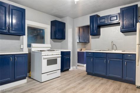 4141 Cyril Avenue Cleveland OH 44109