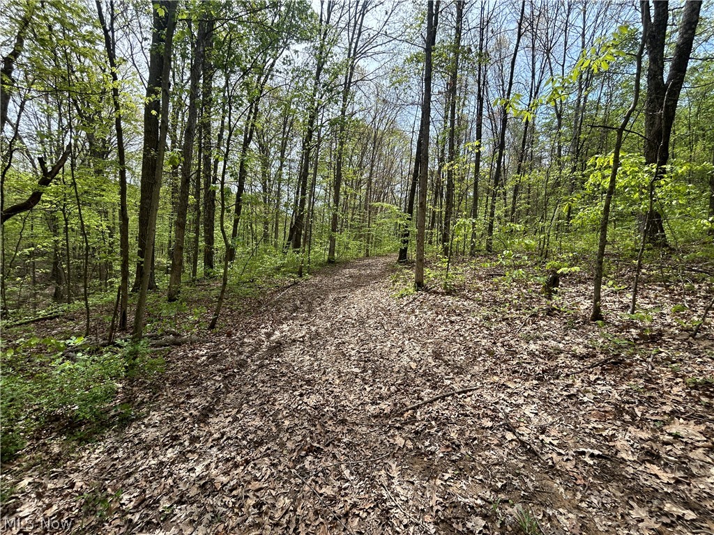 6180 Irish Ridge Road SE Corning OH 43730