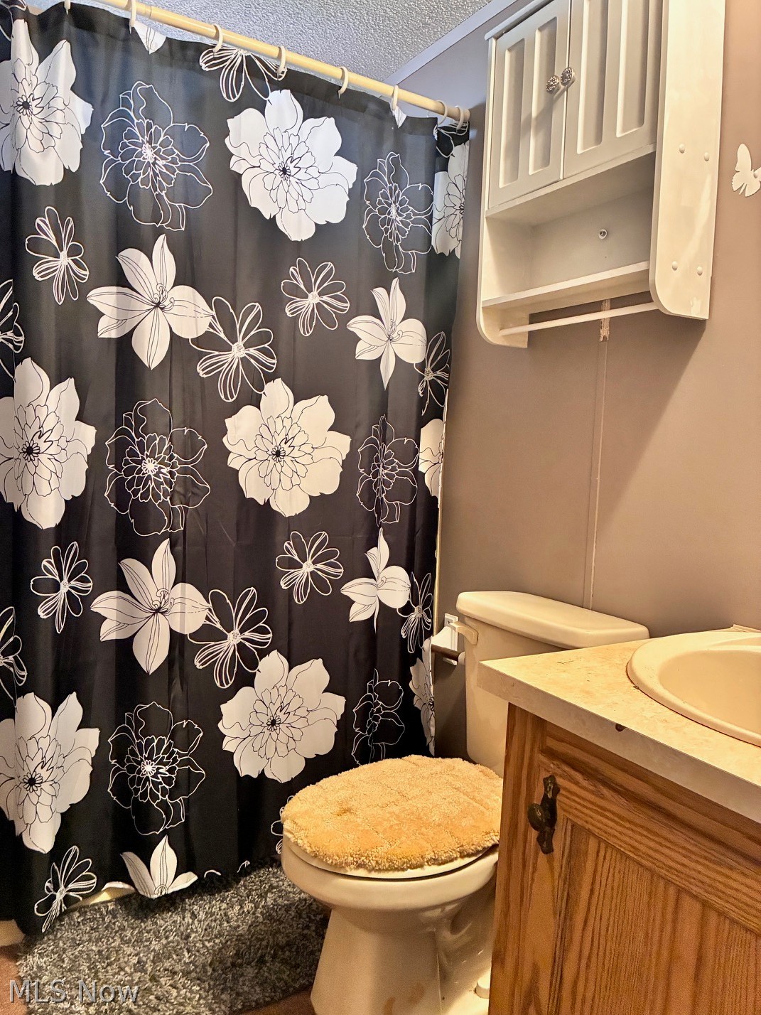 13054 Kevin Lane Chardon OH 44024