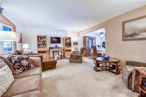 6515 Chase Drive Mentor OH 44060