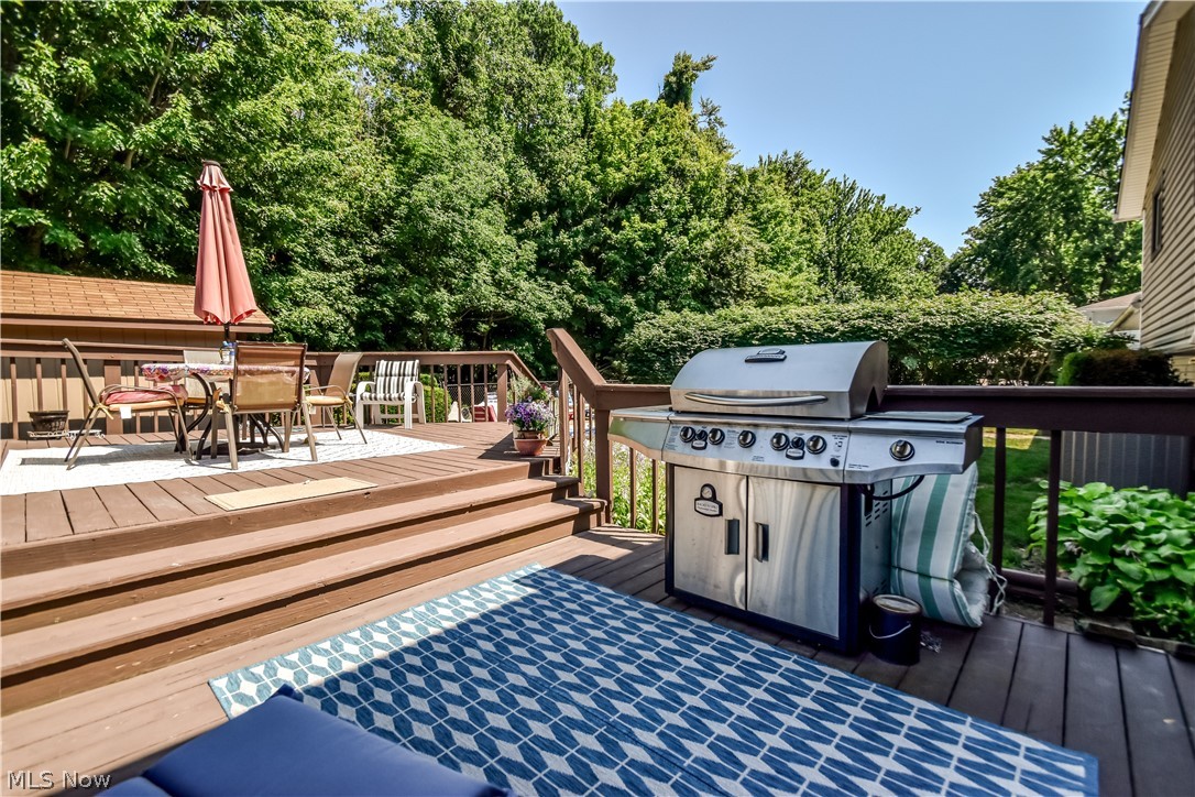 6515 Chase Drive Mentor OH 44060