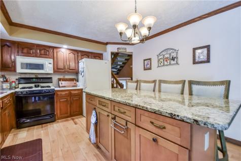 6515 Chase Drive Mentor OH 44060