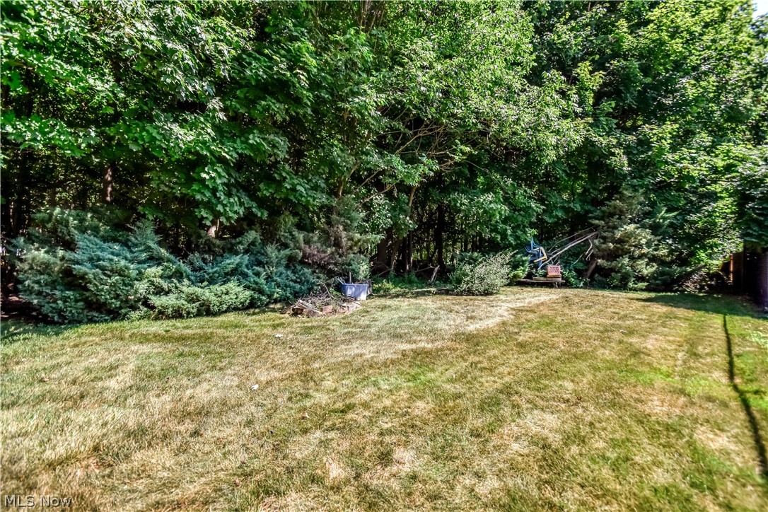 6515 Chase Drive Mentor OH 44060