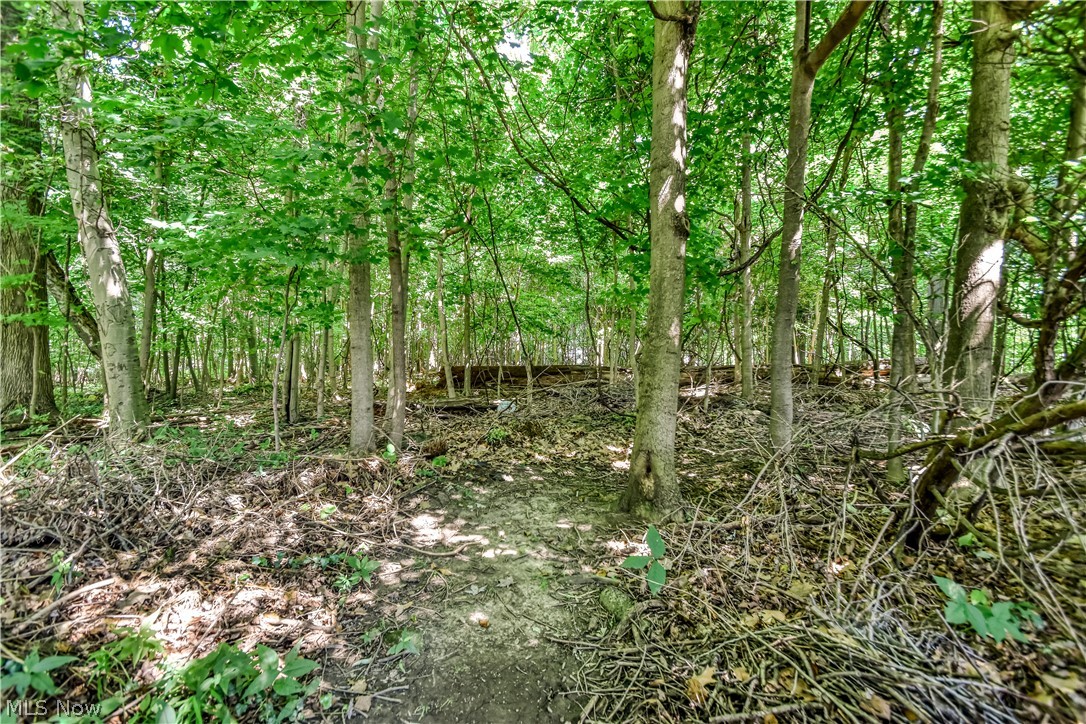6515 Chase Drive Mentor OH 44060