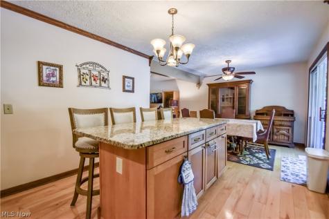6515 Chase Drive Mentor OH 44060