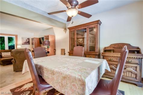 6515 Chase Drive Mentor OH 44060