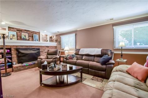 6515 Chase Drive Mentor OH 44060