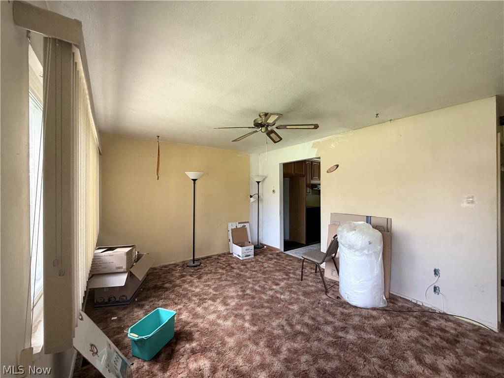 509 Chestnut Drive Berea OH 44017