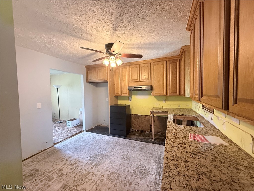 509 Chestnut Drive Berea OH 44017