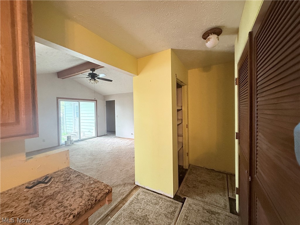 509 Chestnut Drive Berea OH 44017