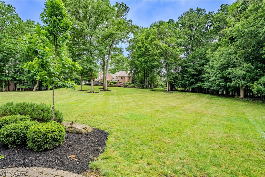 17504 Willow Wood Drive Strongsville OH 44136