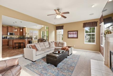 214 Gatwick Grove Circle Wadsworth OH 44281