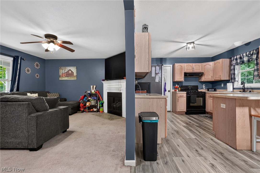 1310 Morning Star Drive Roaming Shores OH 44084