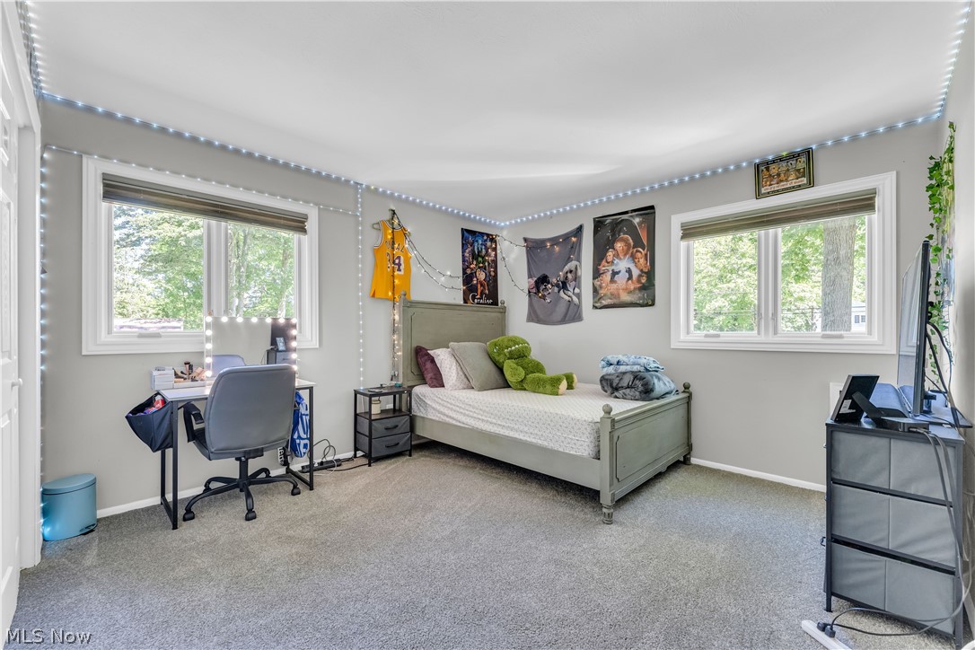 6821 Thornapple Drive Mayfield OH 44040