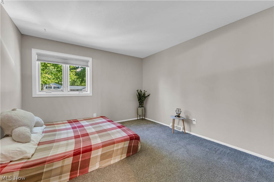 6821 Thornapple Drive Mayfield OH 44040