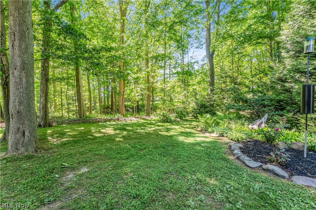 6821 Thornapple Drive Mayfield OH 44040