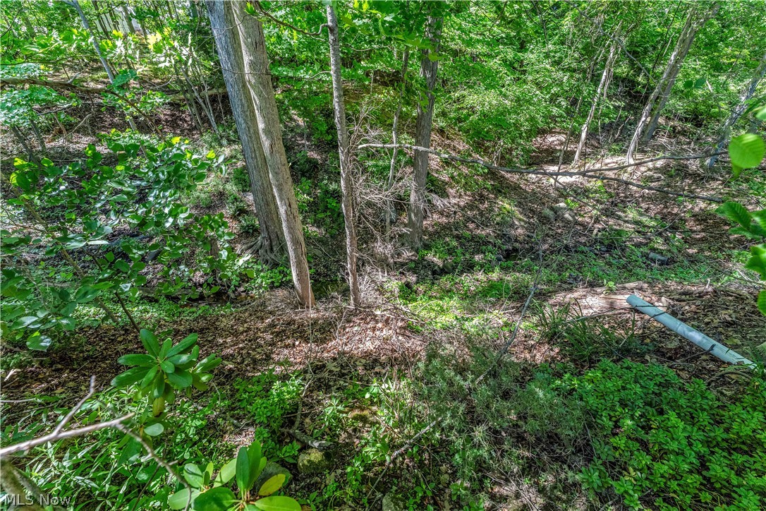 6821 Thornapple Drive Mayfield OH 44040