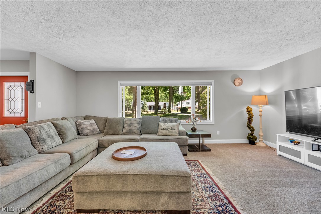 6821 Thornapple Drive Mayfield OH 44040