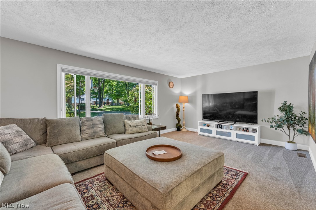 6821 Thornapple Drive Mayfield OH 44040