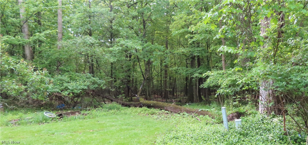 695 Morris Drive Vermilion OH 44089