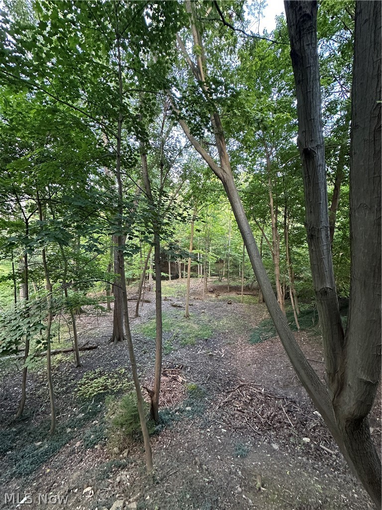 1921 Wynwood Drive Rocky River OH 44116