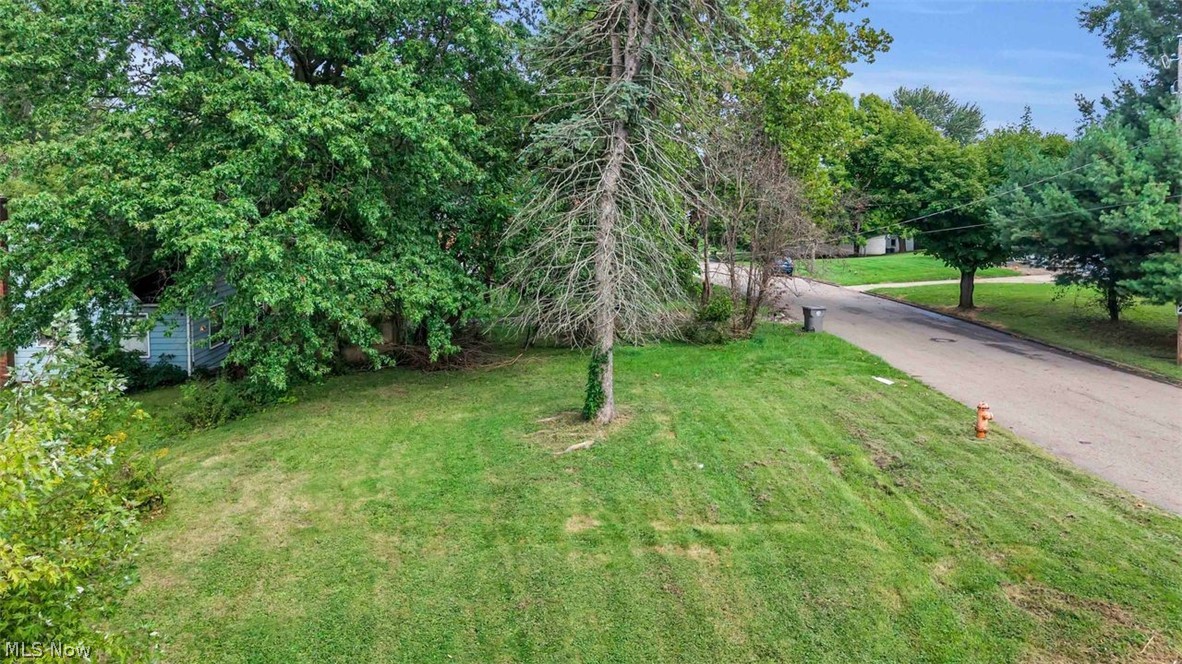 1603 Salt Springs Road Youngstown OH 44509