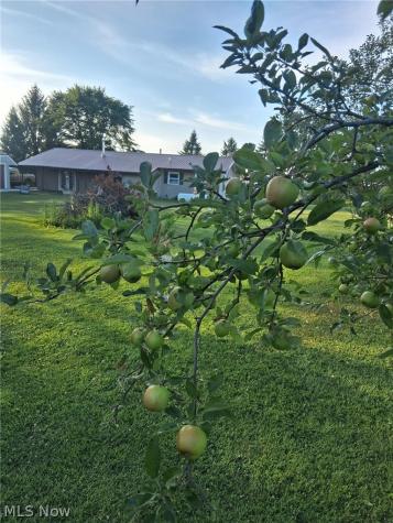 6874 Hammond Corners Road Pierpont OH 44082
