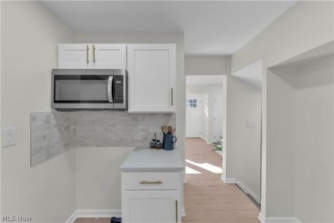 1163 Pennfield Road Cleveland Heights OH 44121