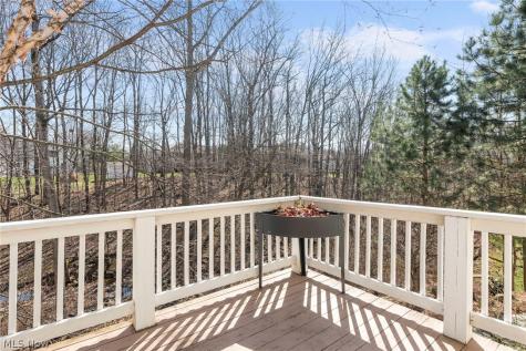 4863 Deer Run Drive Lorain OH 44053