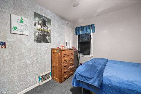 3419 Maplecrest Avenue Parma OH 44134