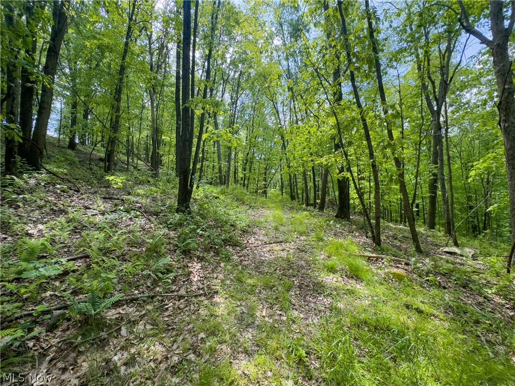 2250 Indian Camp Run Road New Concord OH 43762