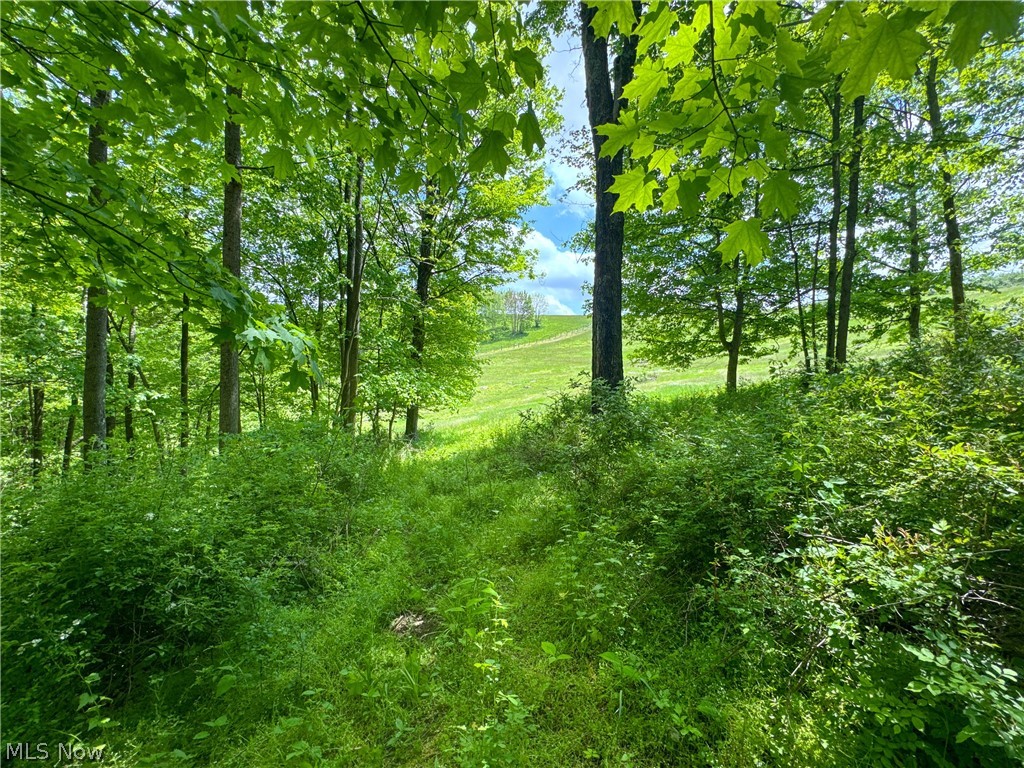 2250 Indian Camp Run Road New Concord OH 43762