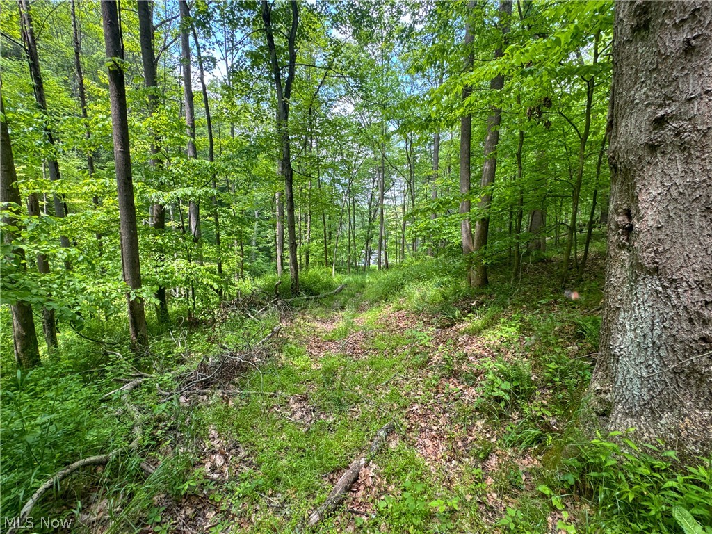 2250 Indian Camp Run Road New Concord OH 43762