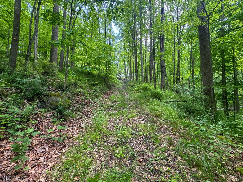2250 Indian Camp Run Road New Concord OH 43762