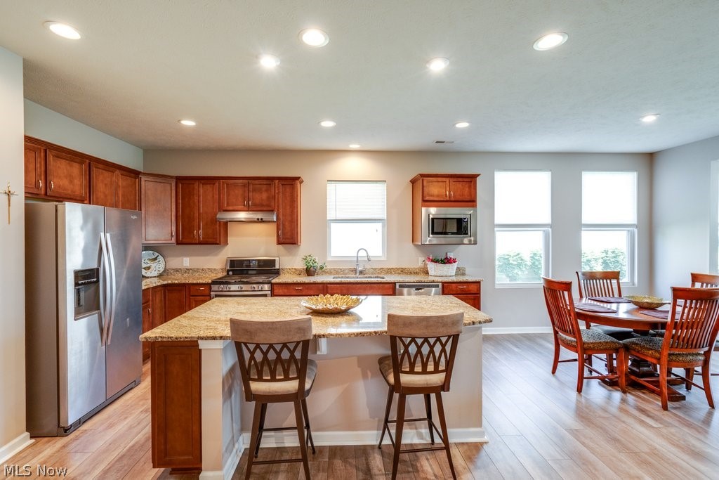 8081 Parkcroft Drive Mentor OH 44060
