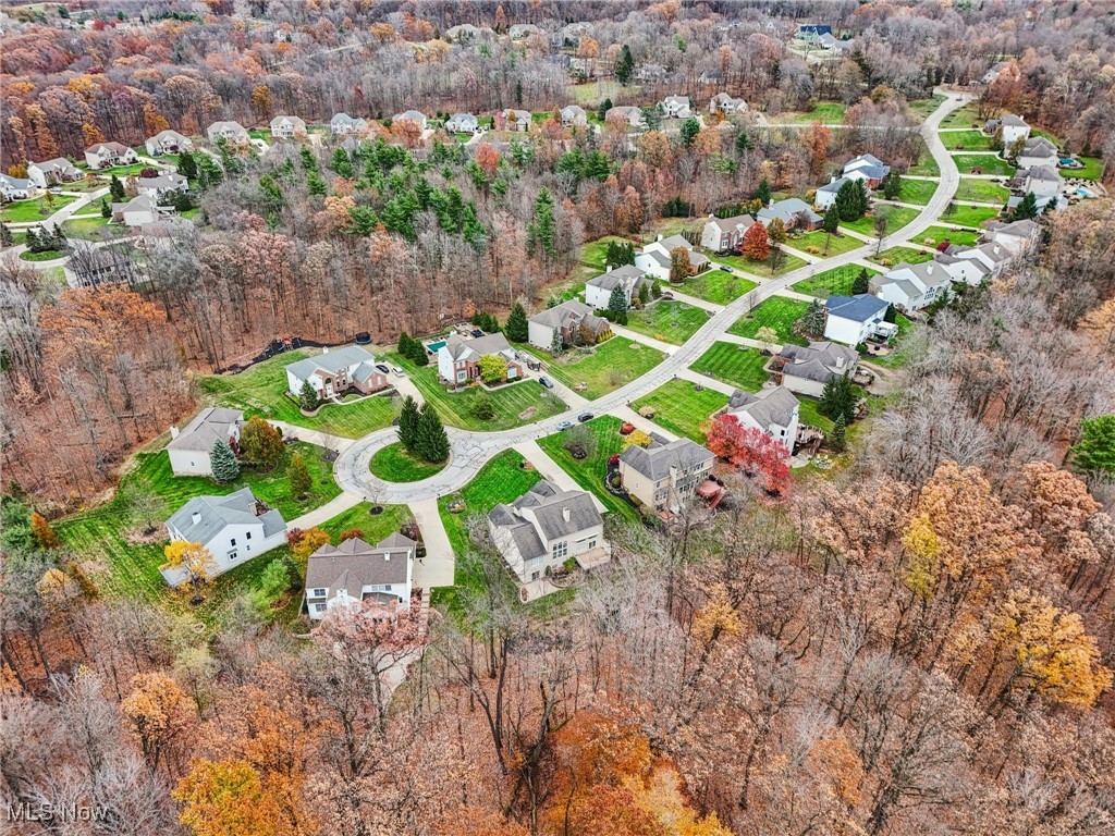 8284 Browning Court Concord OH 44060