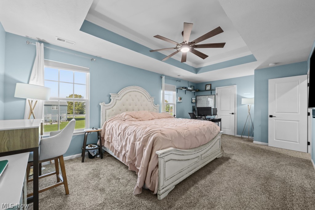 317 Garfield Drive Lagrange OH 44050