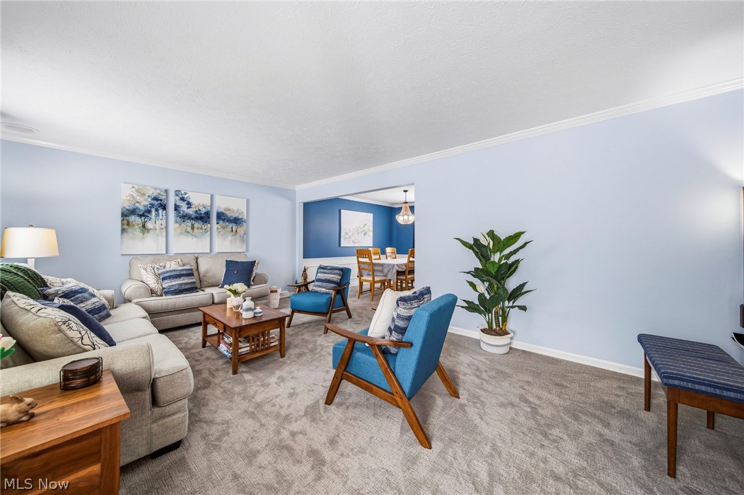 424 Locklie Drive Highland Heights OH 44143