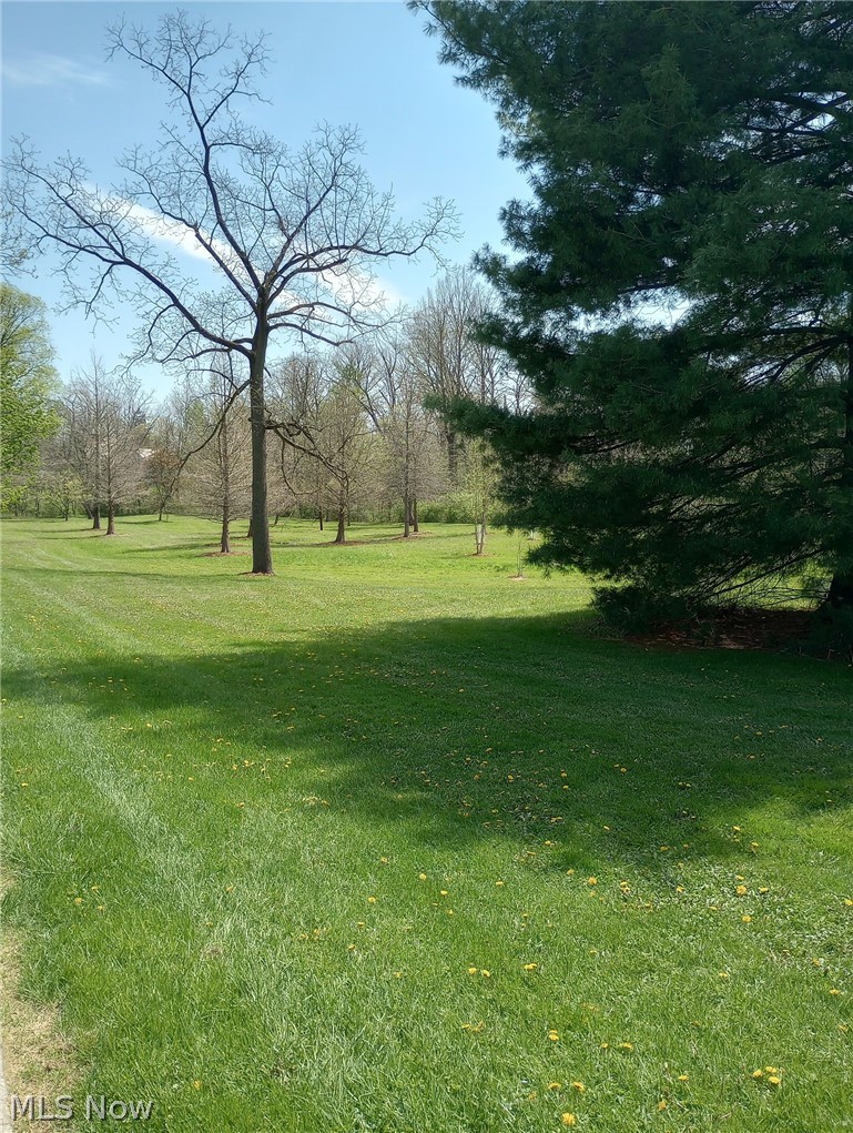 147 Morgan Street Oberlin OH 44074