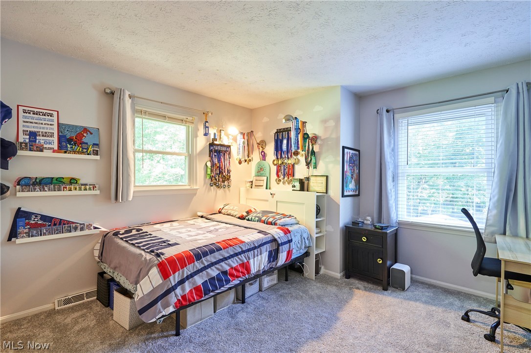 3447 Tennyson Drive Fairlawn OH 44333