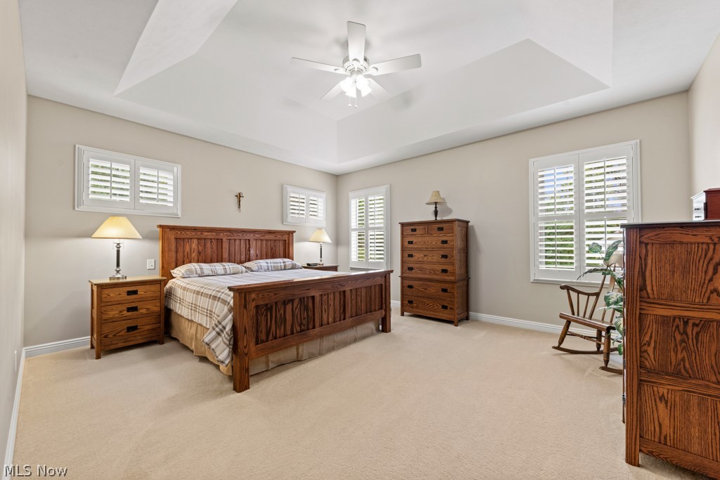 6595 Buffham Road Seville OH 44273