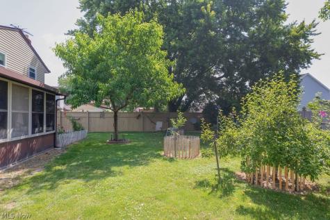 38667 Chestnut Ridge Road Elyria OH 44035